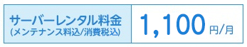 サーバーレンタル料金（メンテナンス料込／消費税込）：1,100円／月